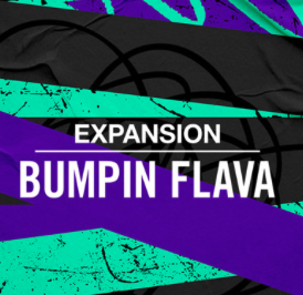 Native Instruments Bumpin Flava Maschine Expansion